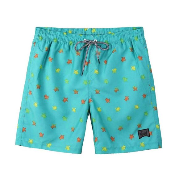 Boys' Swim Trunks Quick Dry Hawaii Style Shorts with Mesh Liner - Picture 1 of 6